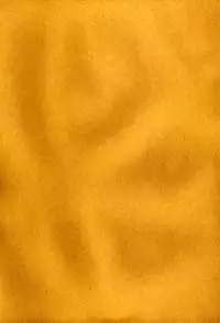 (C67) [70 Nenshiki Yuukyuu Kikan (Endou Okito)] Kurokami no Sarasate - SARASATE ob Brunet hair. [Chinese] [嗶咔嗶咔漢化組]