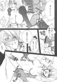 (C76) [Akai Tsubasa (Tachibana Chata)] .001 (Fantasy Earth ZERO)