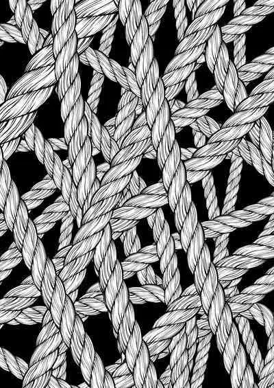 Seiheki Goudou vol.02