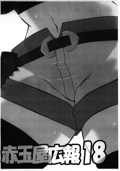 Akadama-ya Kouhou 18