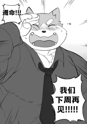 Killer Whale & Niterite 3