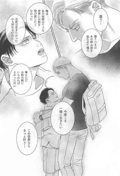 Summer Assortment Remake