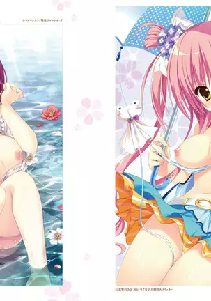 Majo Koi Nikki - Visual Fanbook