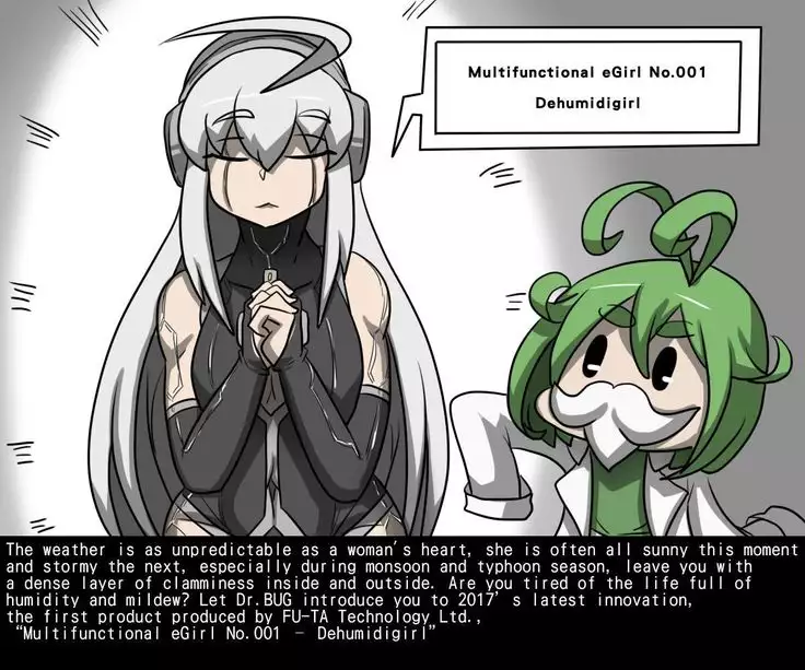 Dehumidigirl