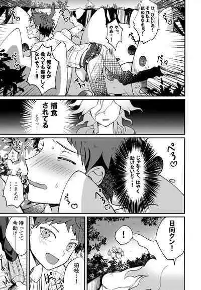 Komahi Sairoku Hon Star Peace