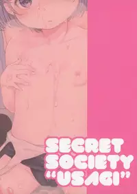 (C88) [Himitsukessya Usagi (Dancyo)] CUSTOM LOVECATs 2nd [Chinese] [JoeOtaku+Ace汉化]