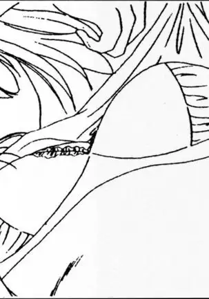 Dream Program SystemSeries Genga Settei Shiryou