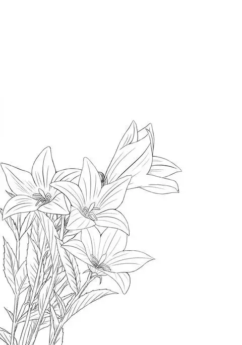 Hikari no Kimi no Saganaki Keikaku <Akashi>