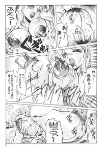 [KEBERO Corporation (Various)] Shin Hanzyuuryoku VI (Various)