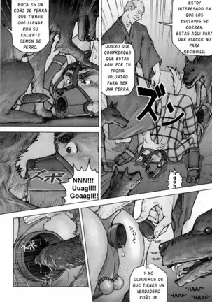 Kai Makoto Training Dog