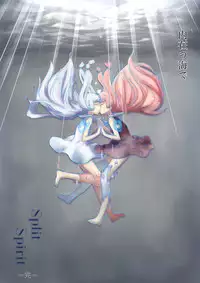 [Niche] Split Spirit