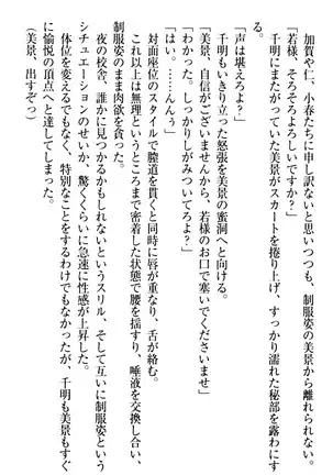 年上メイドの新婚日記