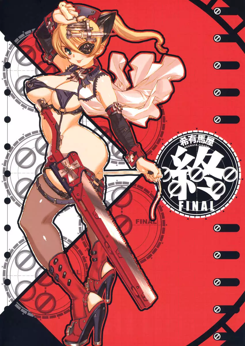 Hyper Nurse Commander Erika