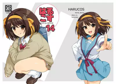 Harucos 14