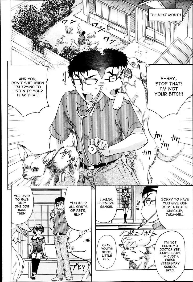 There's a Pig In The box