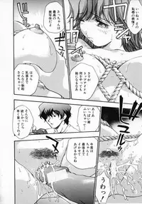 [Kirara Moe] 11 Pieces