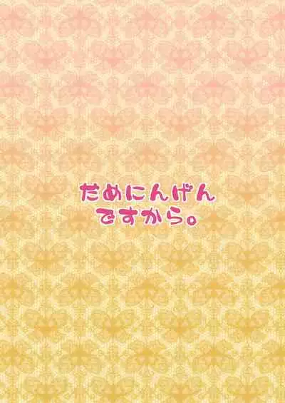 Welcome to Succubus World