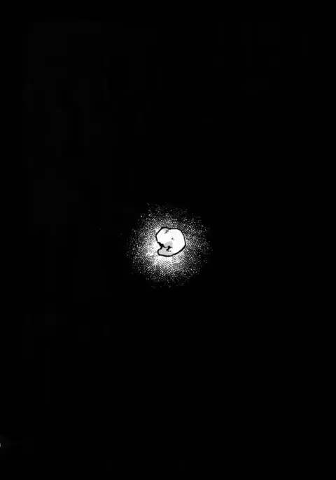 Shakunetsu no Yousui