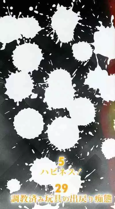 Mesu Ana Choukyou Shiiku