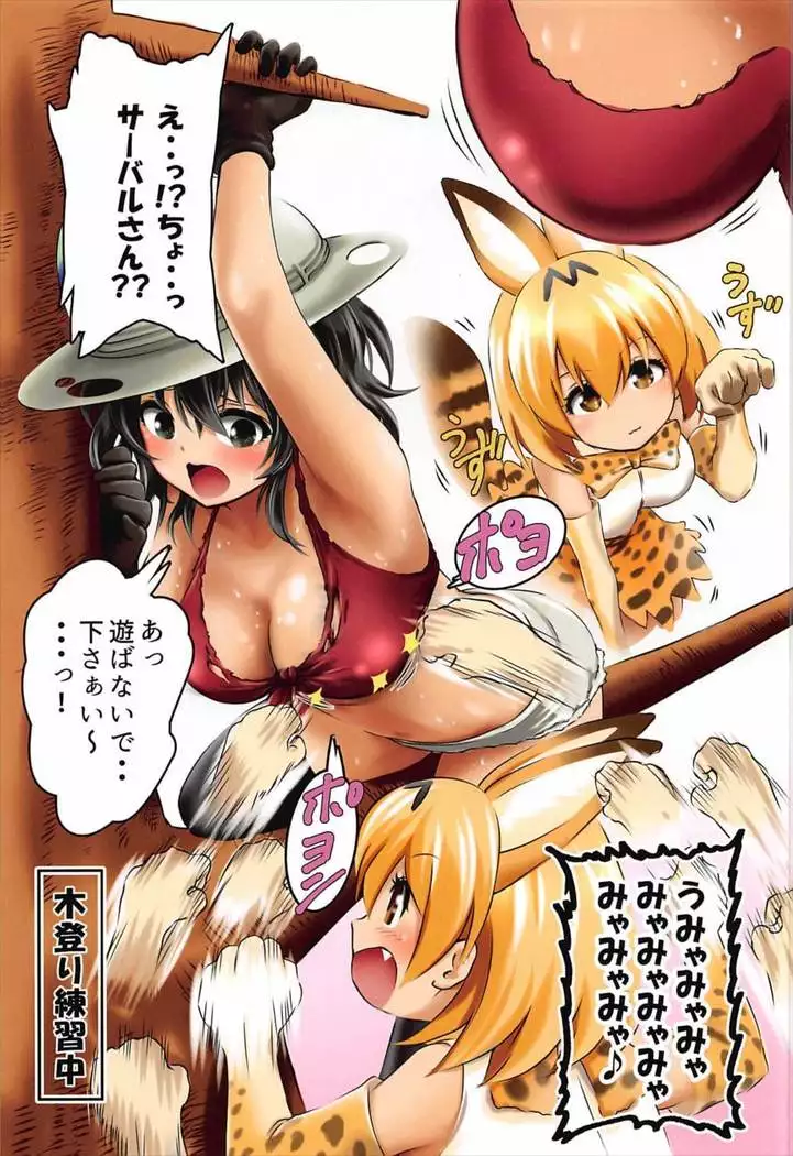 Moshi, Kaban-chan ga Kyonyuu dattara