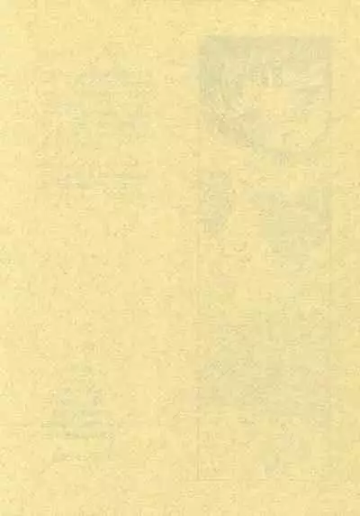 (C74) [Central (Sano Takashi)] Natsuyasumi