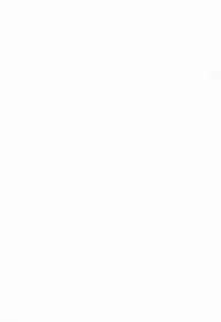 (C86) [sin-maniax (Todoroki Shin)] marble nymphet (To LOVE-Ru)