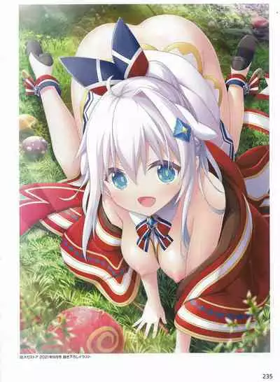 Amayui Labyrinth Meister Perfect Guidebook