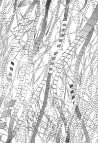 [Kago Shintarou] Kasutoru Shiki