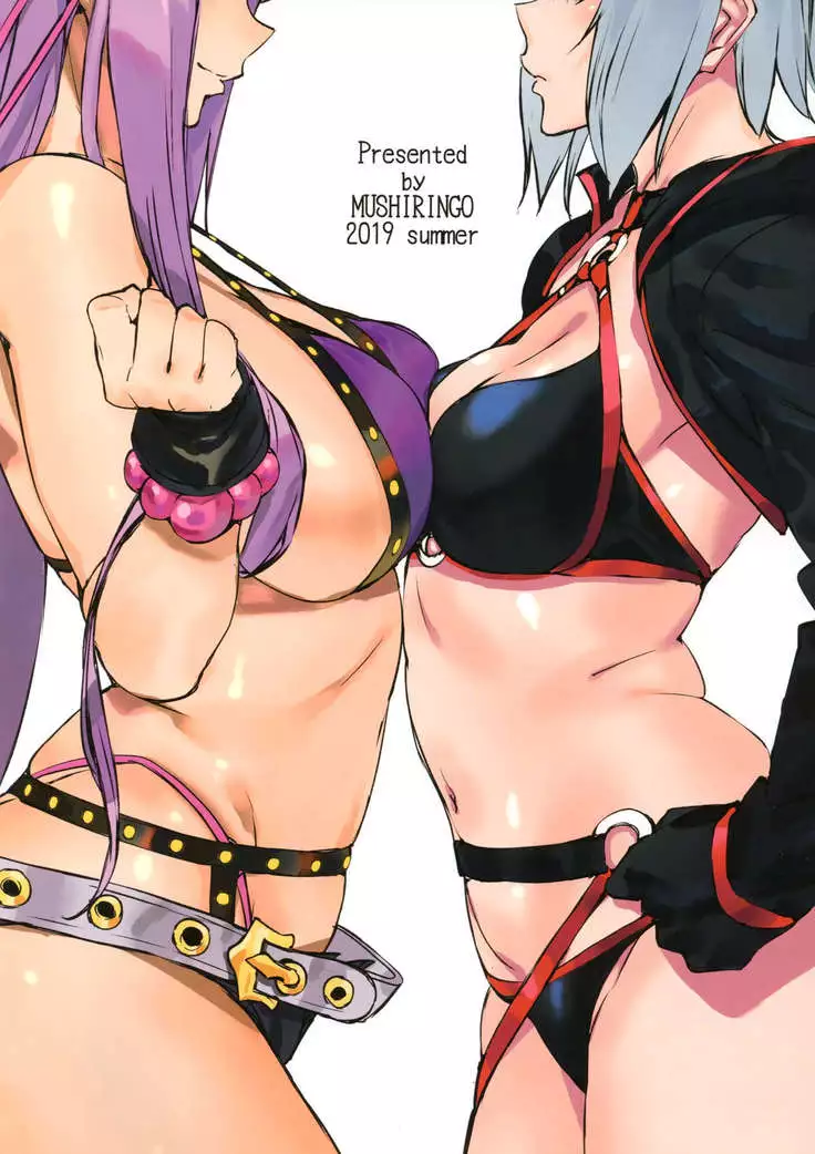 FGO Illust Matome Hon