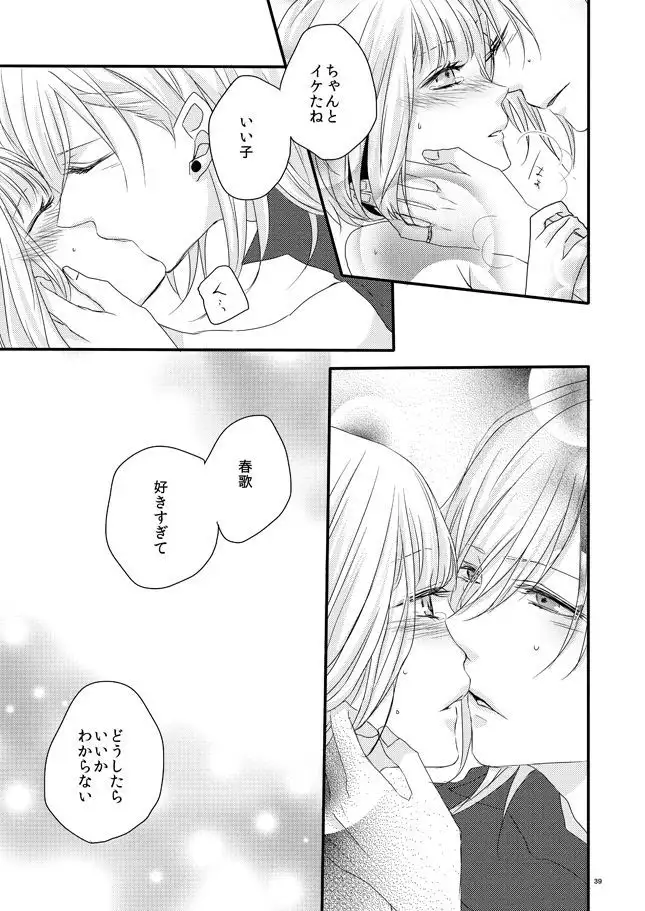 [OCELOT phalaenopsis