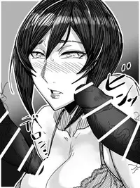 [Allegro] SeFrie Tsuma Yukari