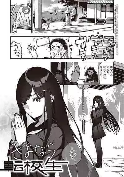 Bitter Sweet Complex