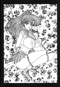 Sailor X Volume 1 (Sailor Moon)