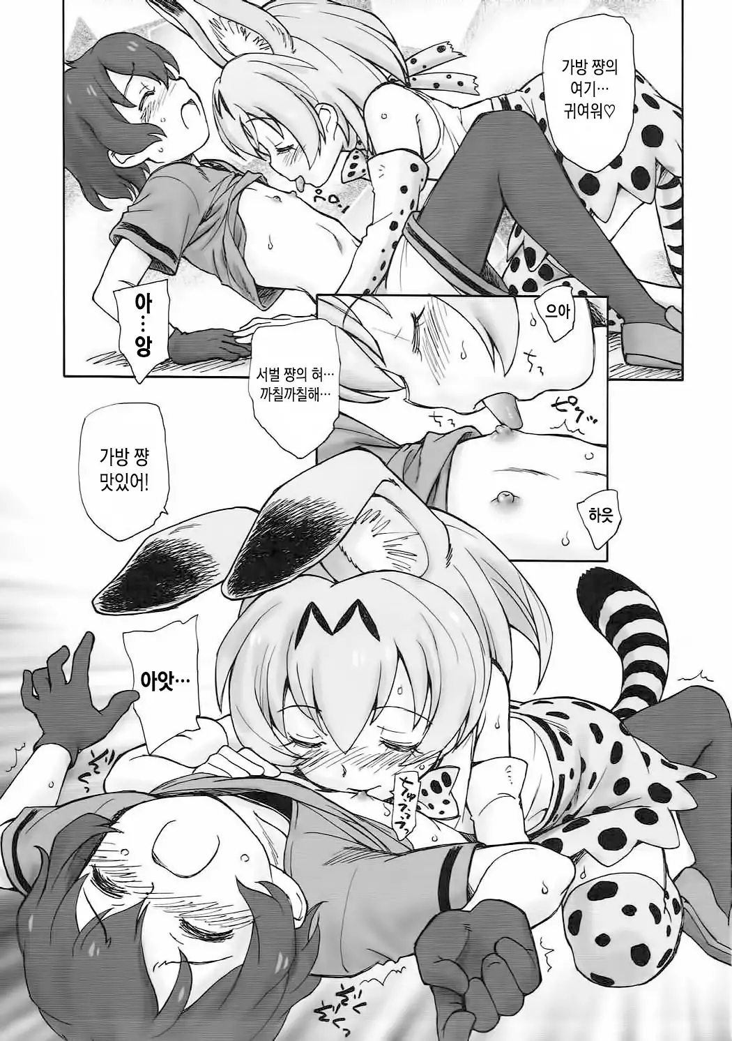 Tabekko Friends | 타벳코 프렌즈