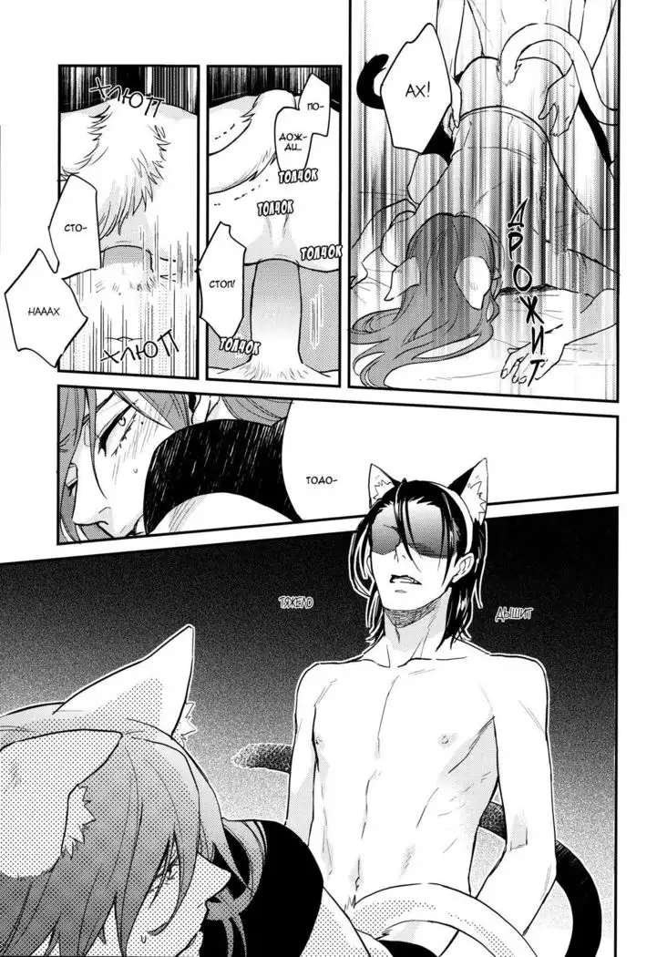 Green, black cat and rut