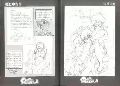 桃色申告書 ver.MILLENNIUM FALCON