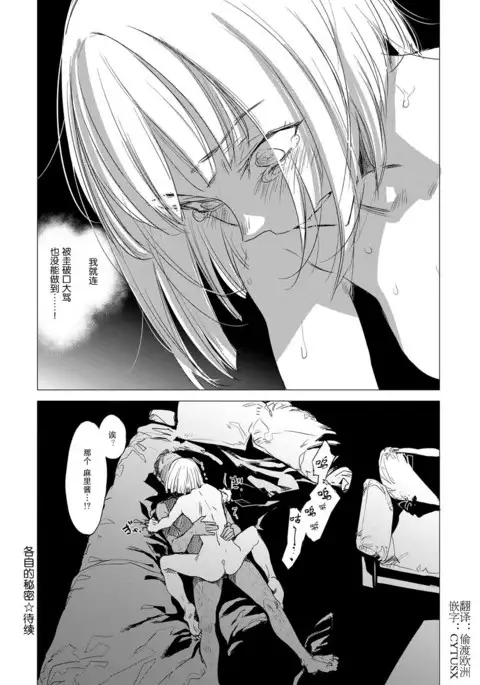 Sorezore no Himitsu II