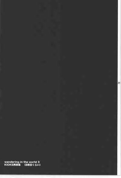 Wandering In The World 3