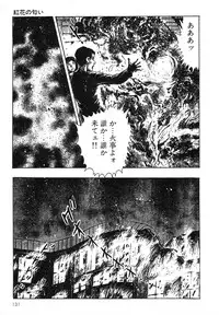 [Maeda Toshio] Mesu Kari Vol.4