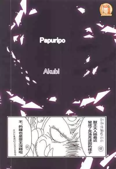 (C99)[Papuripo (Akubi)] kakin suru to nuno ga usu ku naru to kii te (Slayers) | 聽說越是課金衣料就會越薄 [Chinese] [禁漫漢化組]