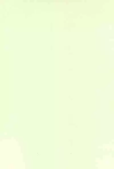 Chicchakute Ecchi Hon 3