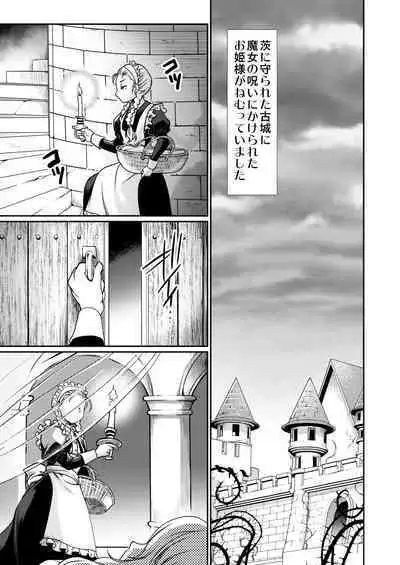 The Tale of the Thorn Princess