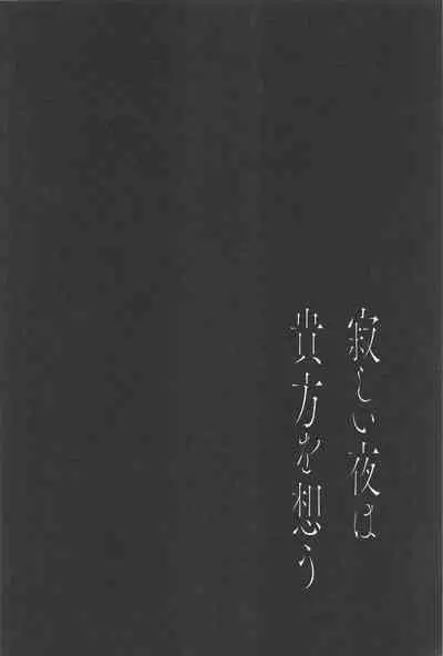 Sabishii Yoru wa Anata o Omou