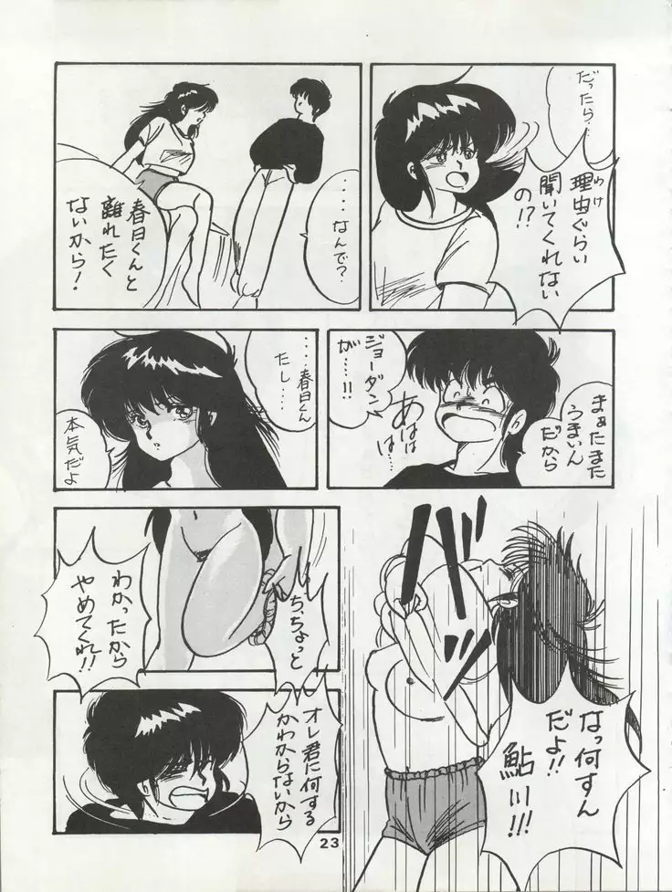 ORANGE GALLERY SAKATA SPECIALl