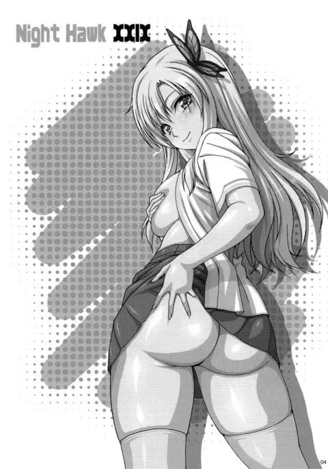 NightHawk XXIX