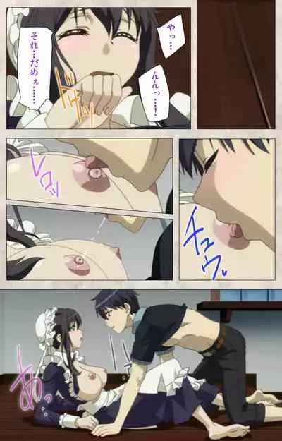 Ane Yome Quartet Kanzenban