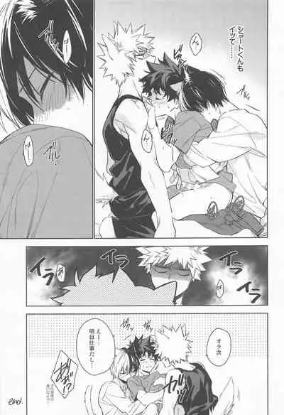 Pet-sama no Iu toori +