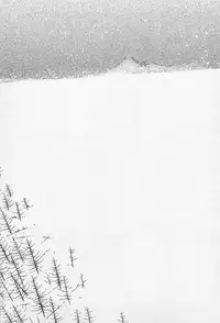 [Ohkoshi Kotaro] Ryouki Keiji MARUSAI