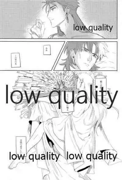 (SUPER26) [Muri Yari (Gibachi)] Hikari no Zou (Fate/stay night)