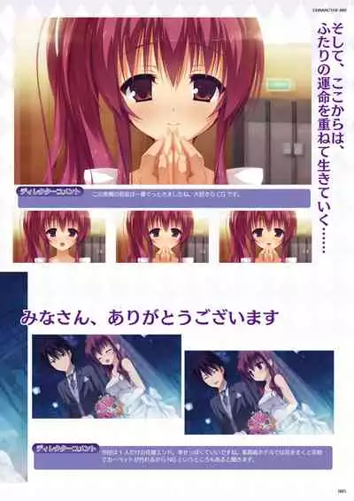 DRACU-RIOT! Official Visual Fan Book